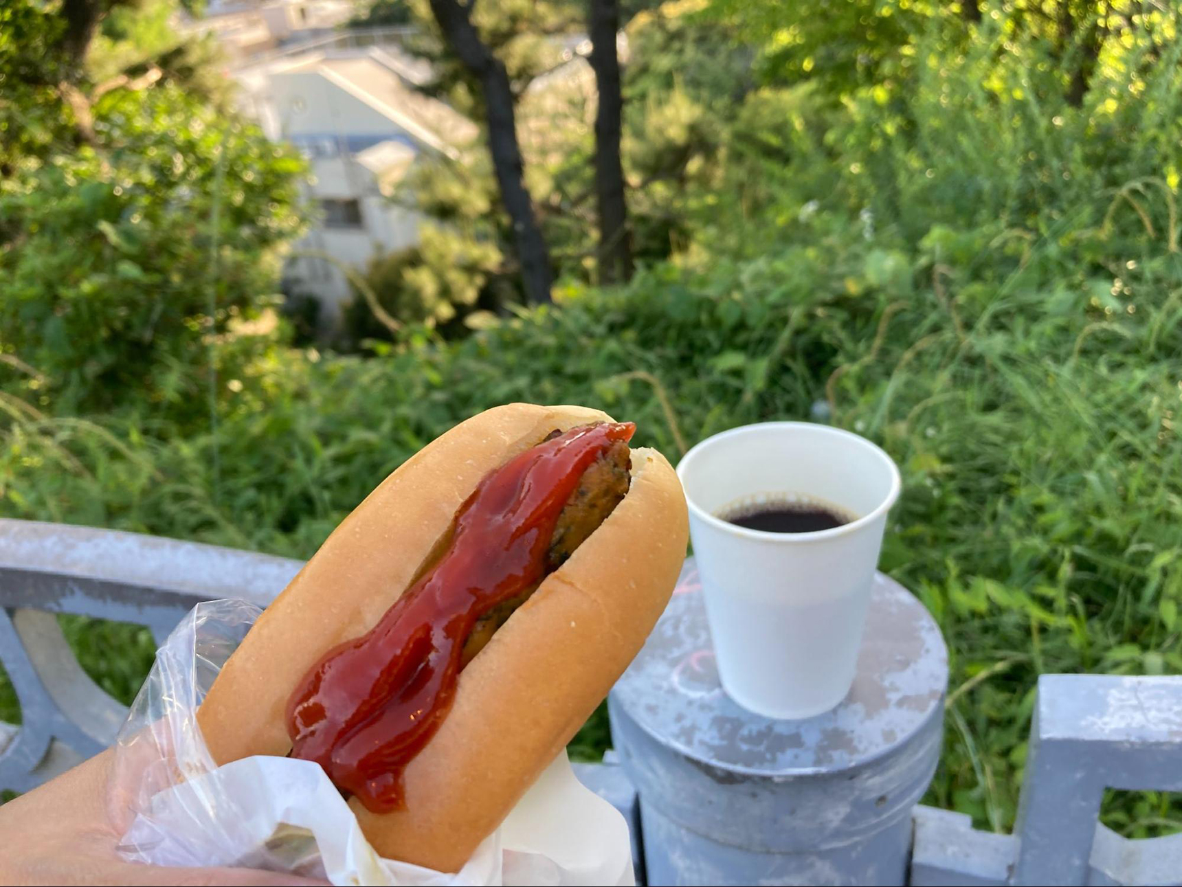 西郷山公園でベジドッグとコーヒーを食べる