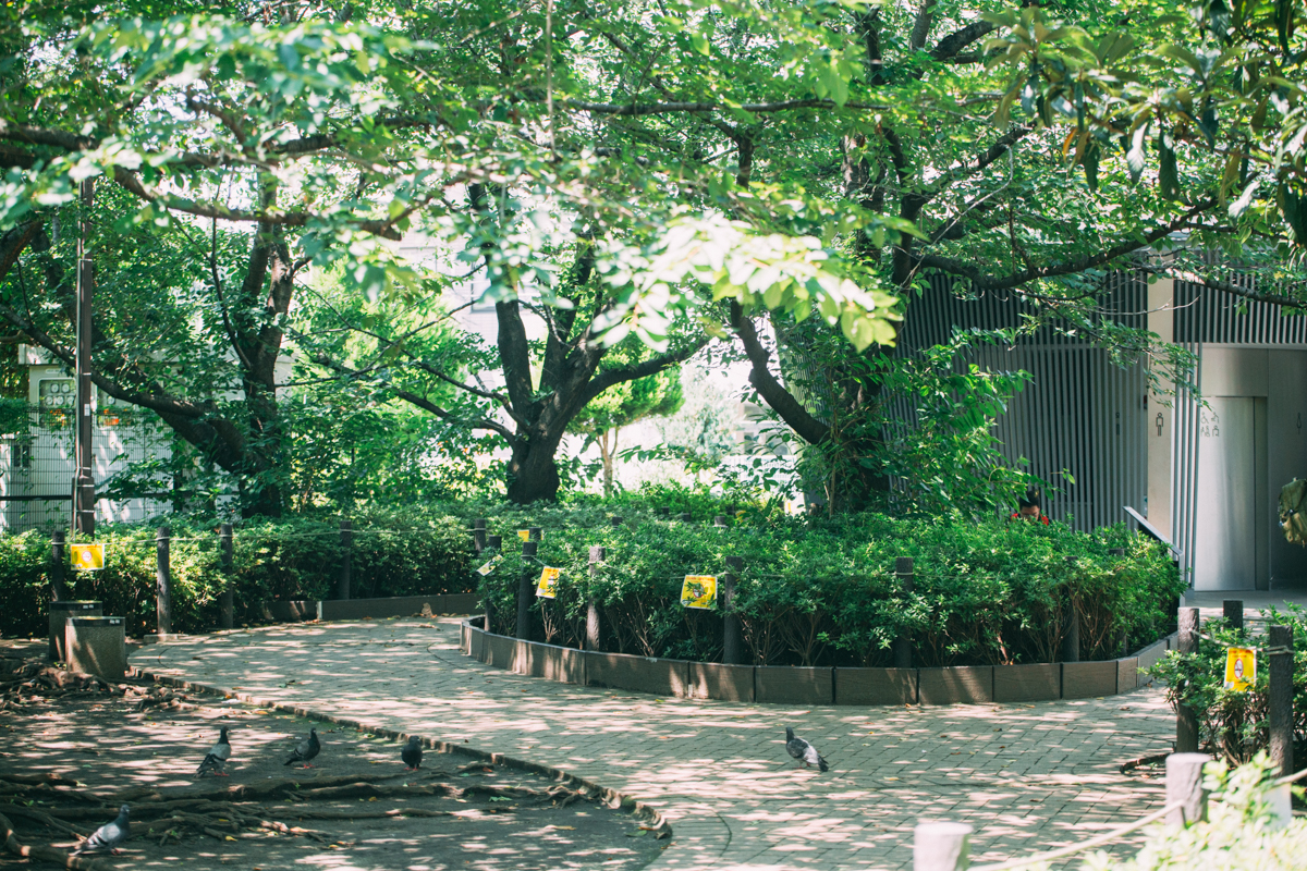 神宮通公園