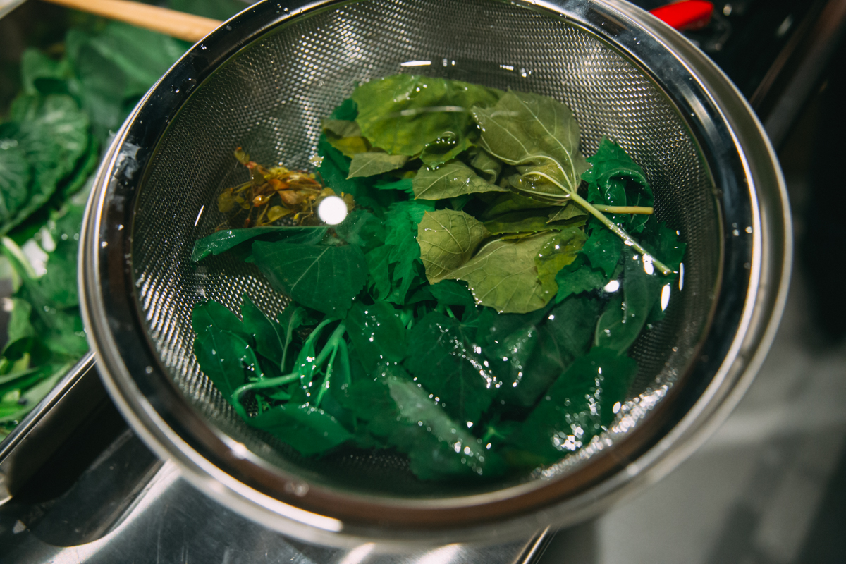 野草を冷水に晒している写真